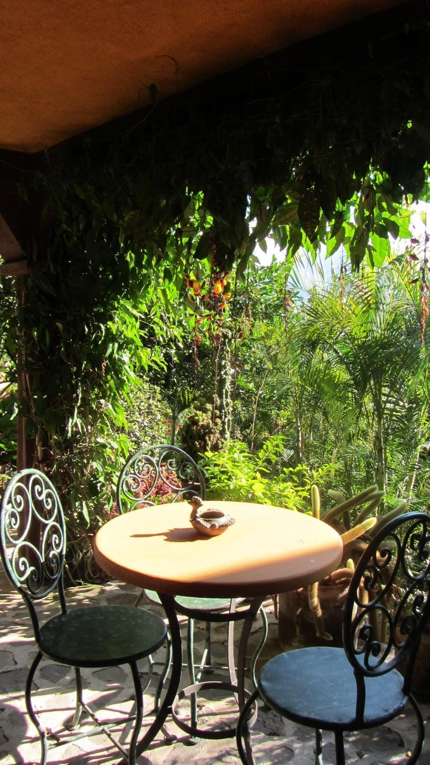 Balcony/Terrace, Garden view