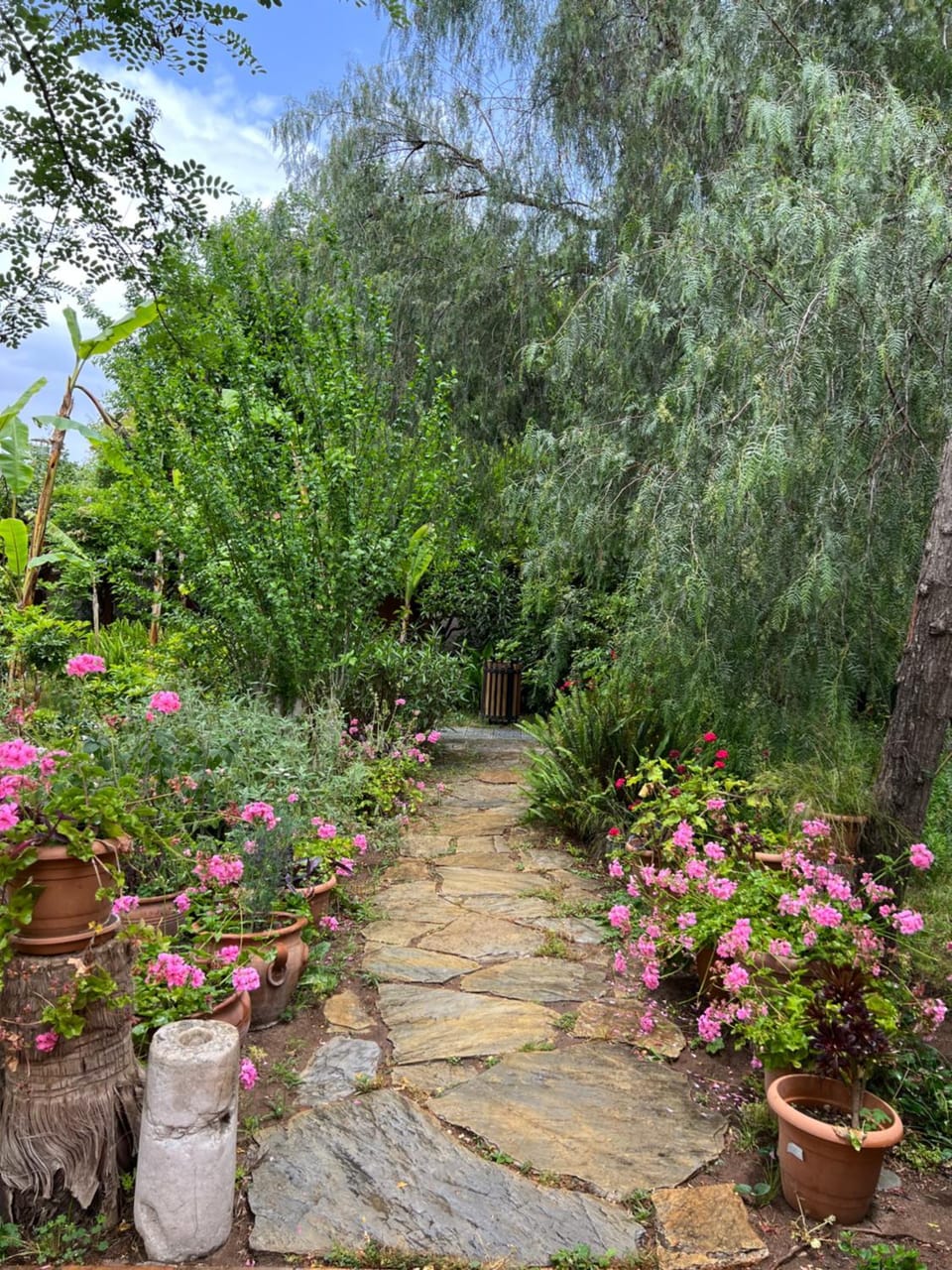 Property building, Spring, Day, Natural landscape, Garden, Garden view