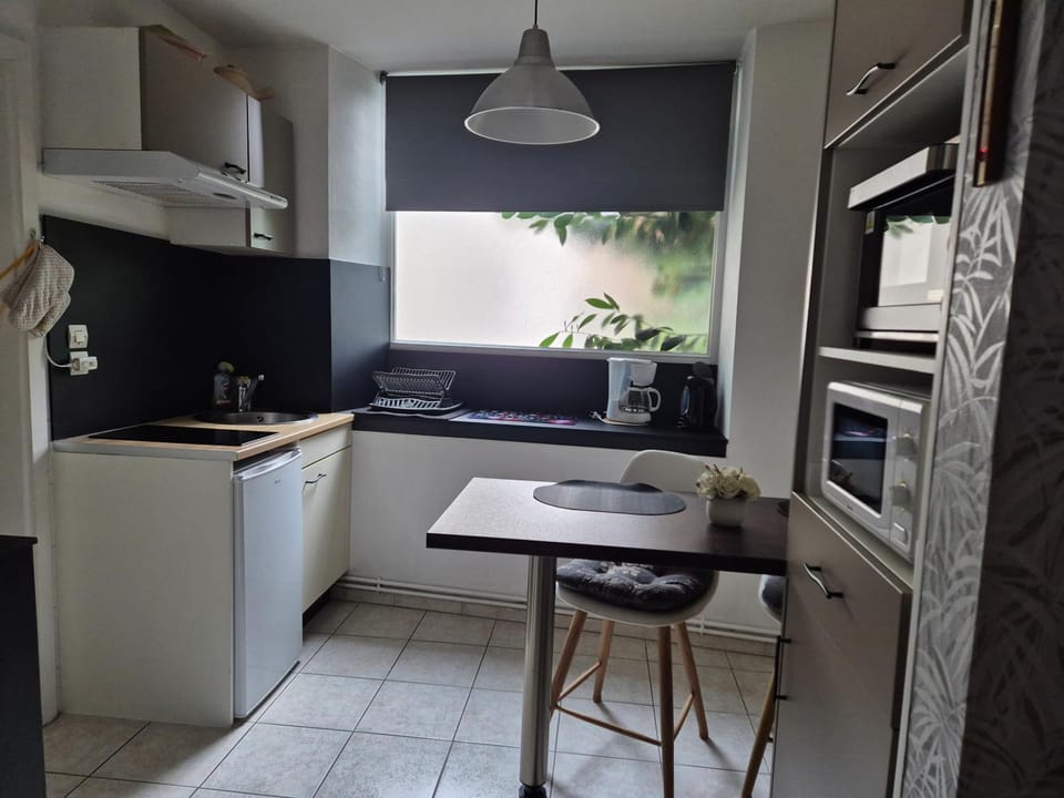 1 rue des romains studio meublé clauss Apartment in Baden-Württemberg