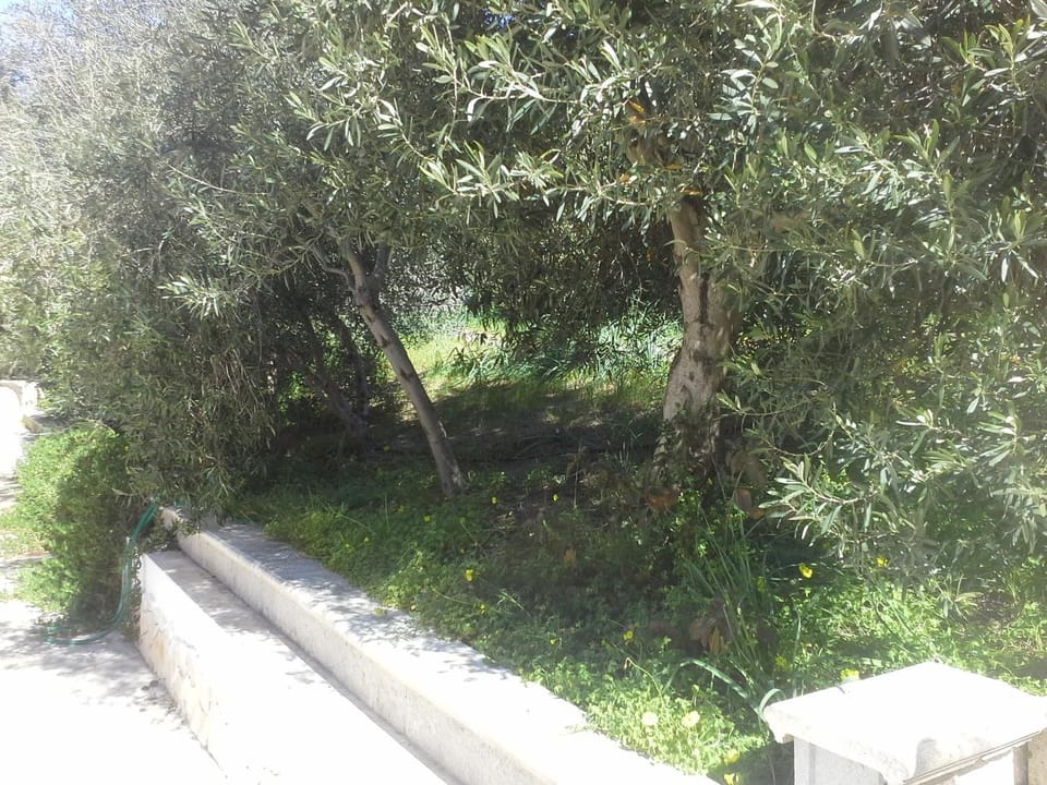 Villa Solinas Apartment in Sardinia