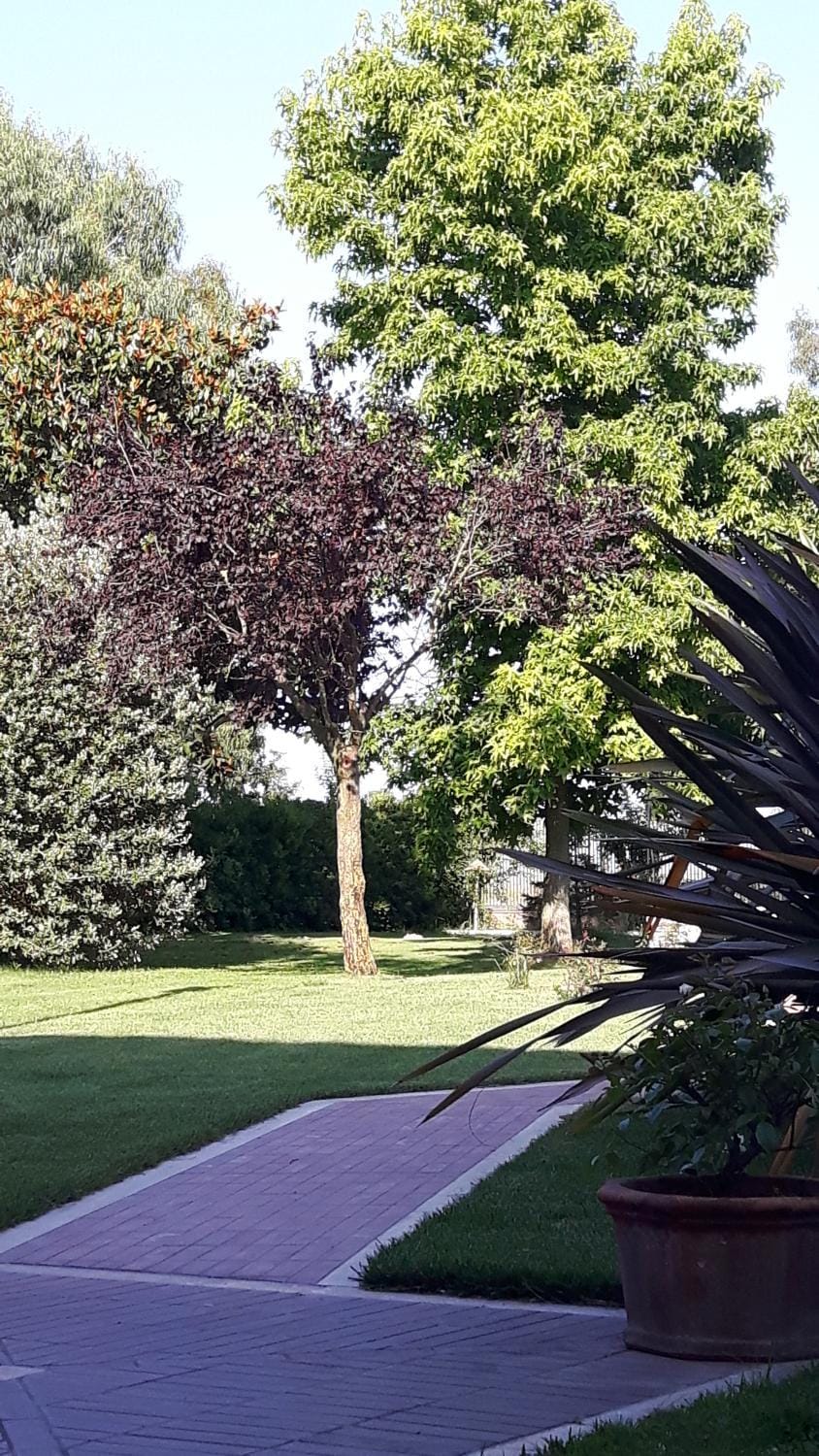 Il Casale Corte Rossa Farm Stay in Lazio
