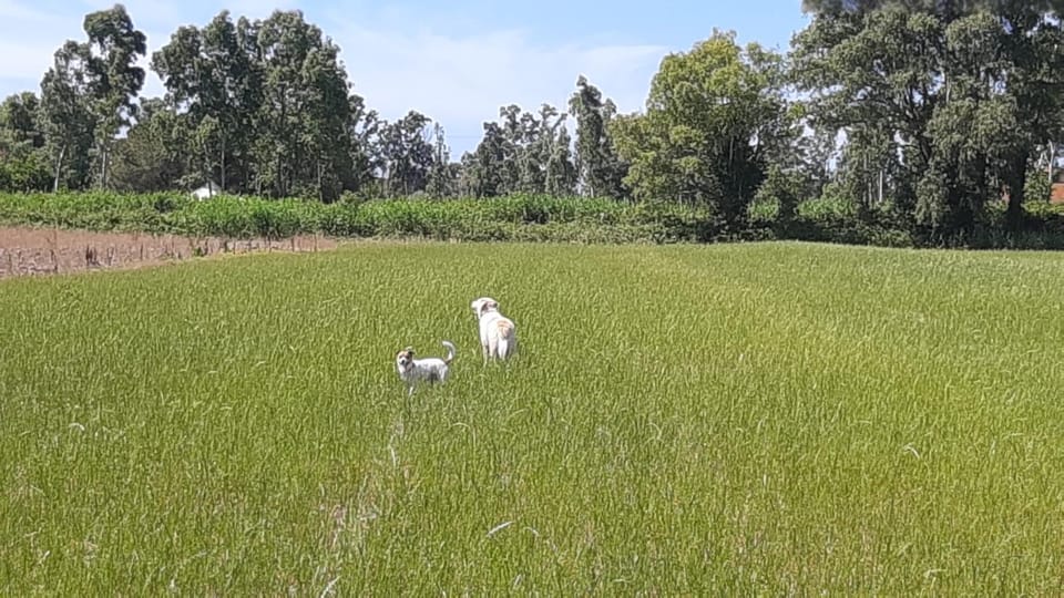 Il Casale Corte Rossa Farm Stay in Lazio