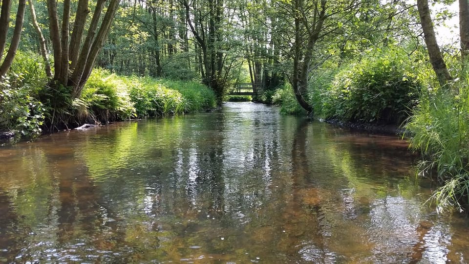 Natural landscape, Hiking, Hiking, Cycling