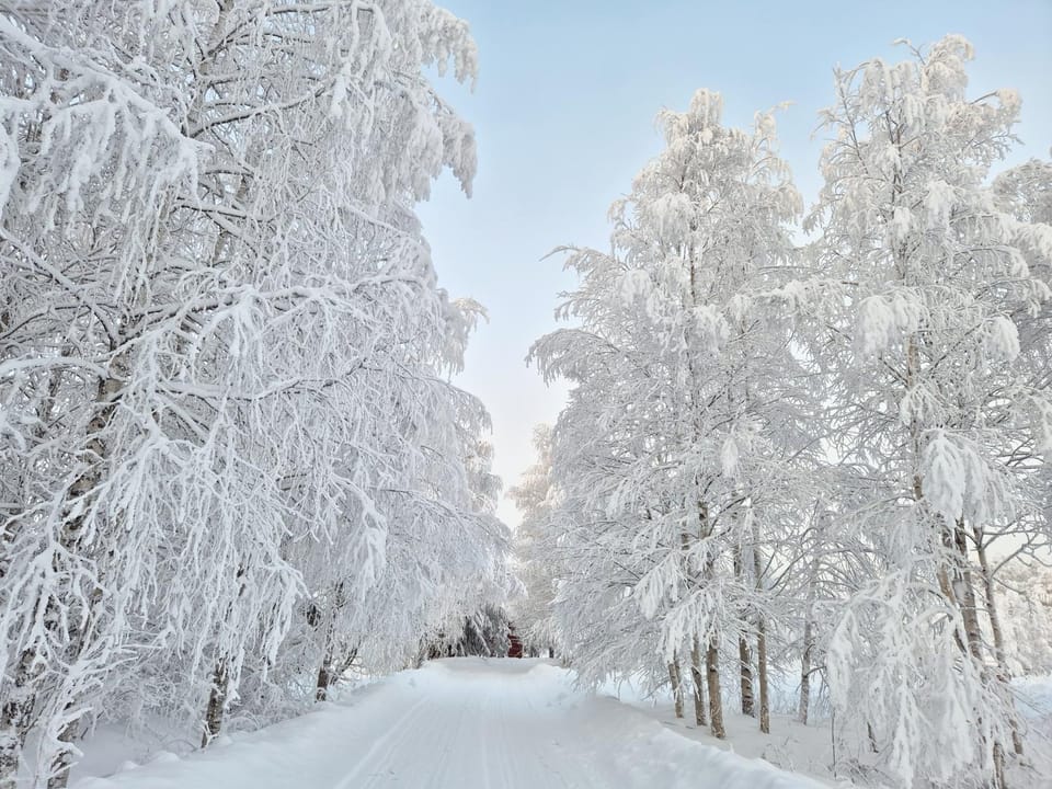 Day, Natural landscape, Winter