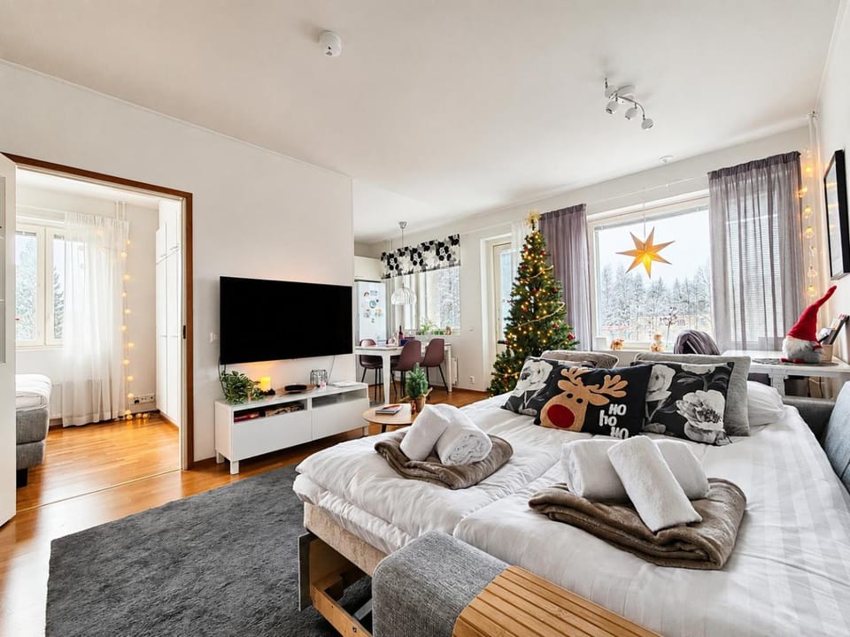 Winter, TV and multimedia, Living room, Photo of the whole room, Entertainment