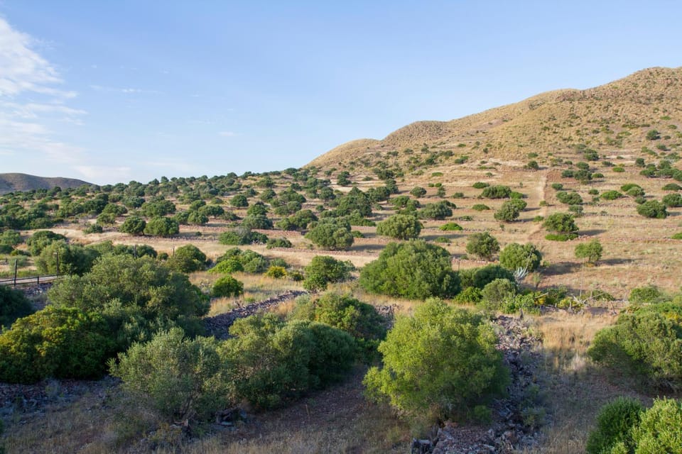 Natural landscape