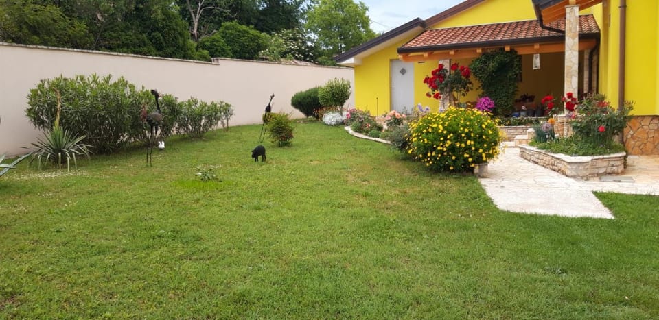 Apartman Boro Apartment in Pula