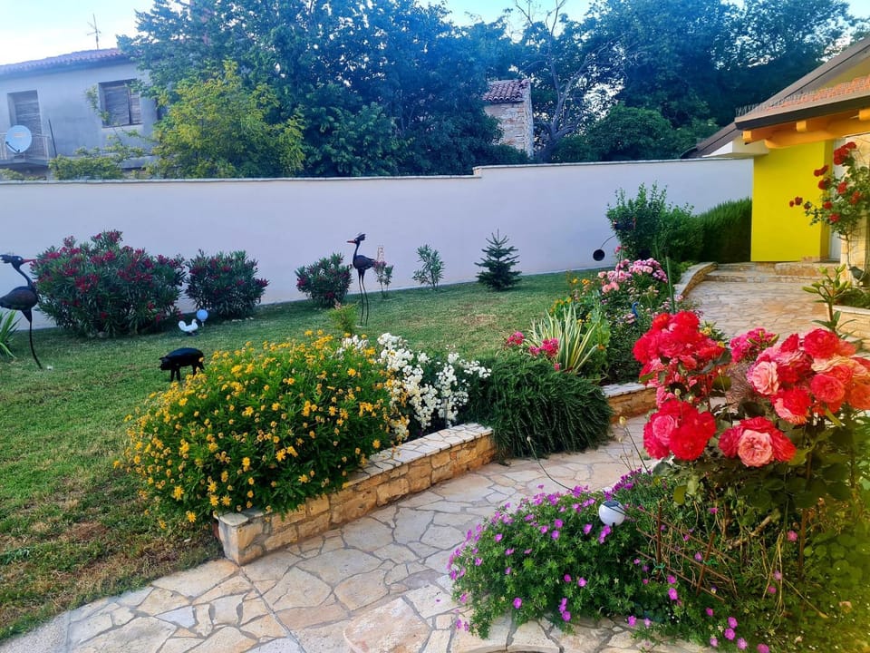 Day, Garden, Garden view