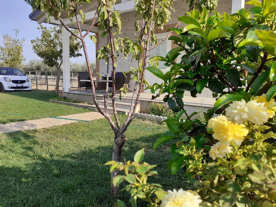 Property building, Garden