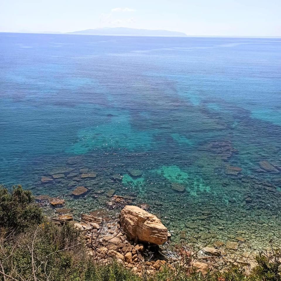 Natural landscape