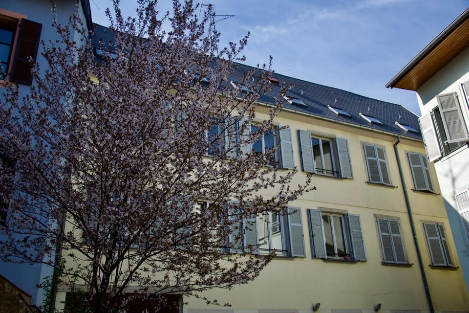 Property building