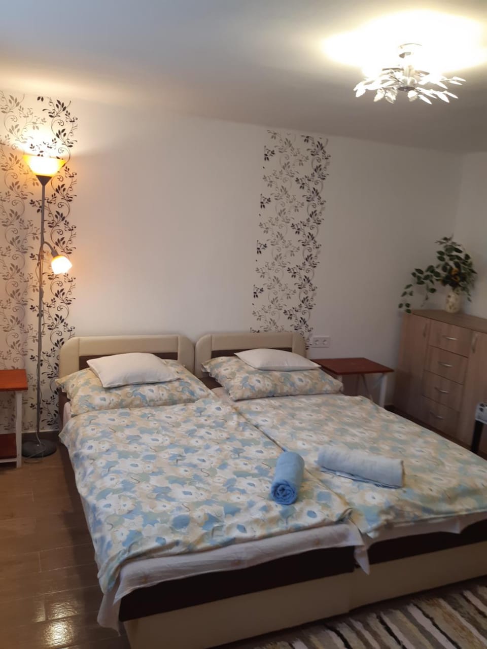 Photo of the whole room