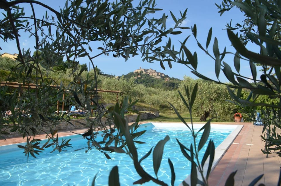 Spring, Garden, Solarium, Garden view, Pool view, Swimming pool