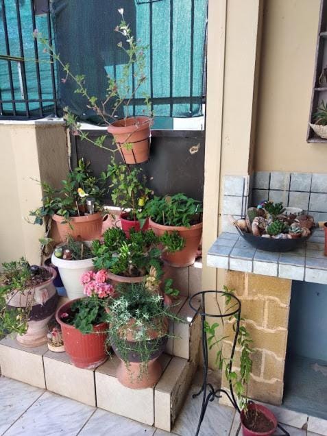 Patio, Facade/entrance