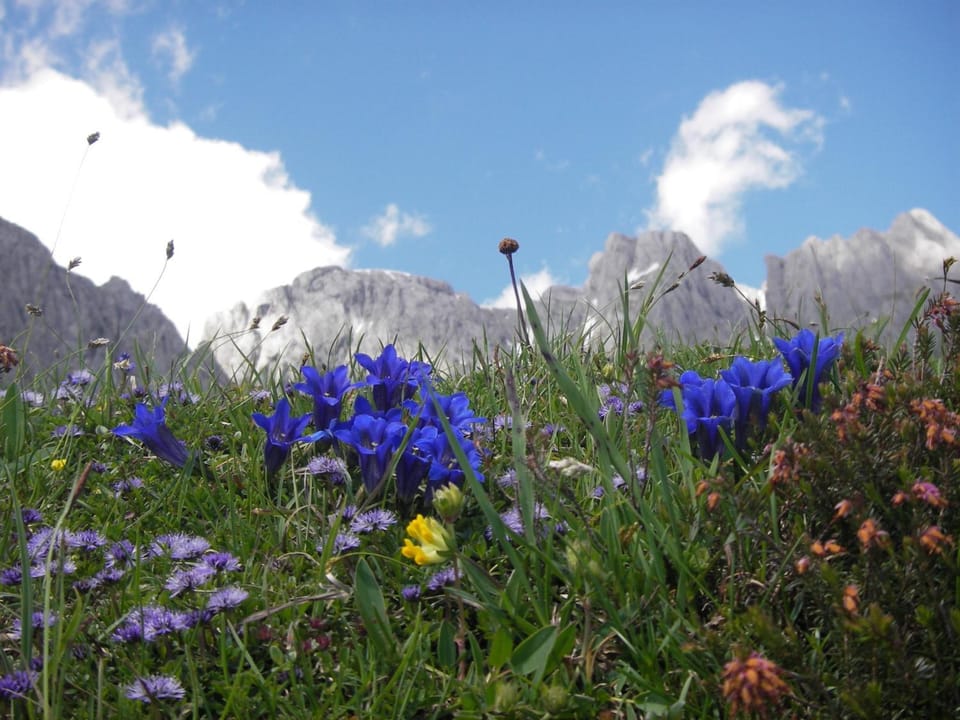 Off site, Natural landscape, Summer, Hiking, Cycling