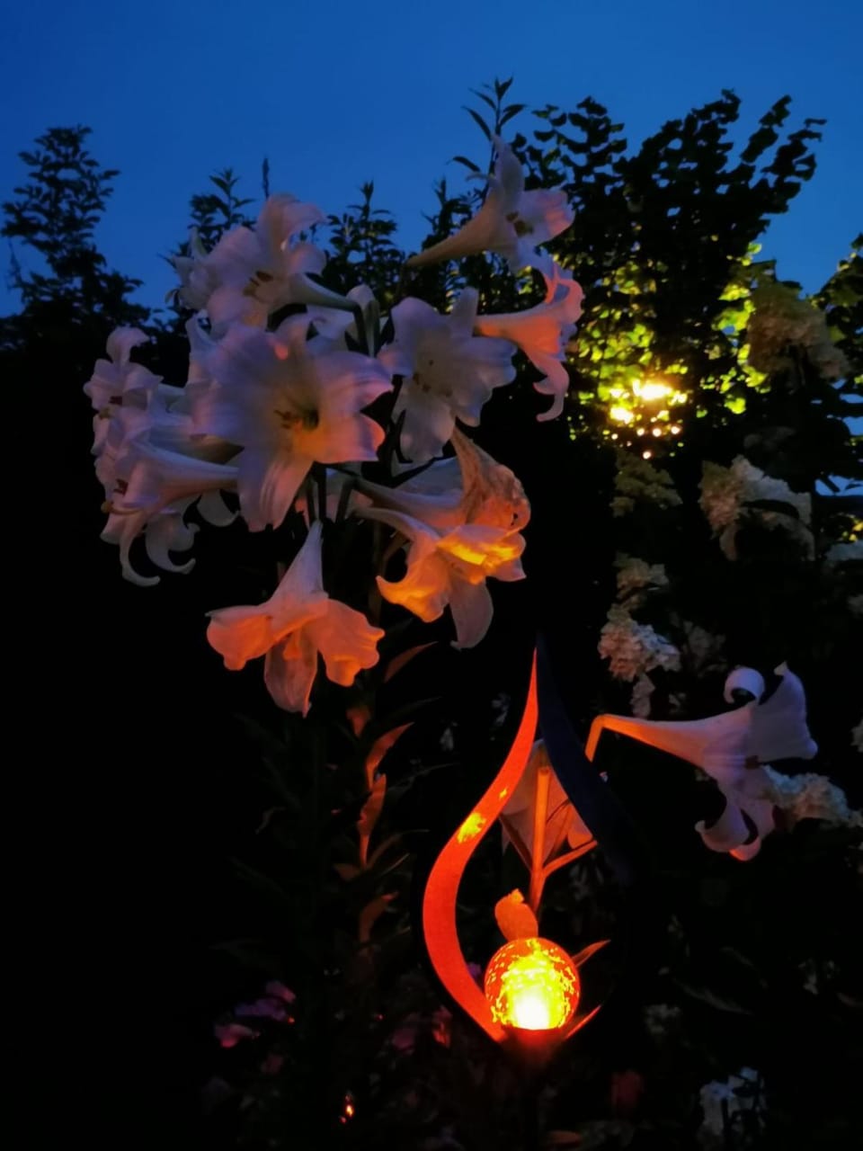 Night, Garden