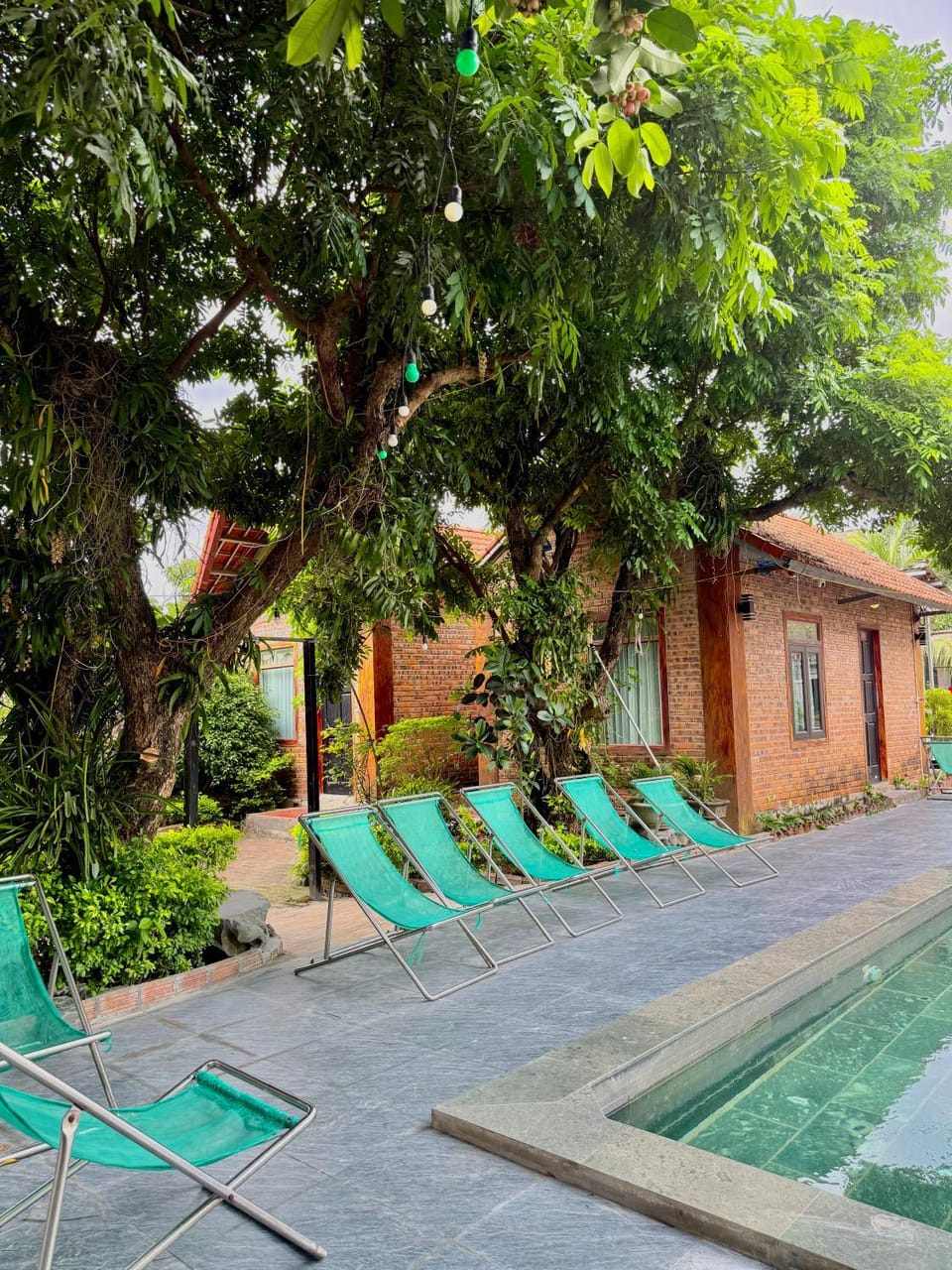 Day, Garden, Garden view, Swimming pool, sunbed