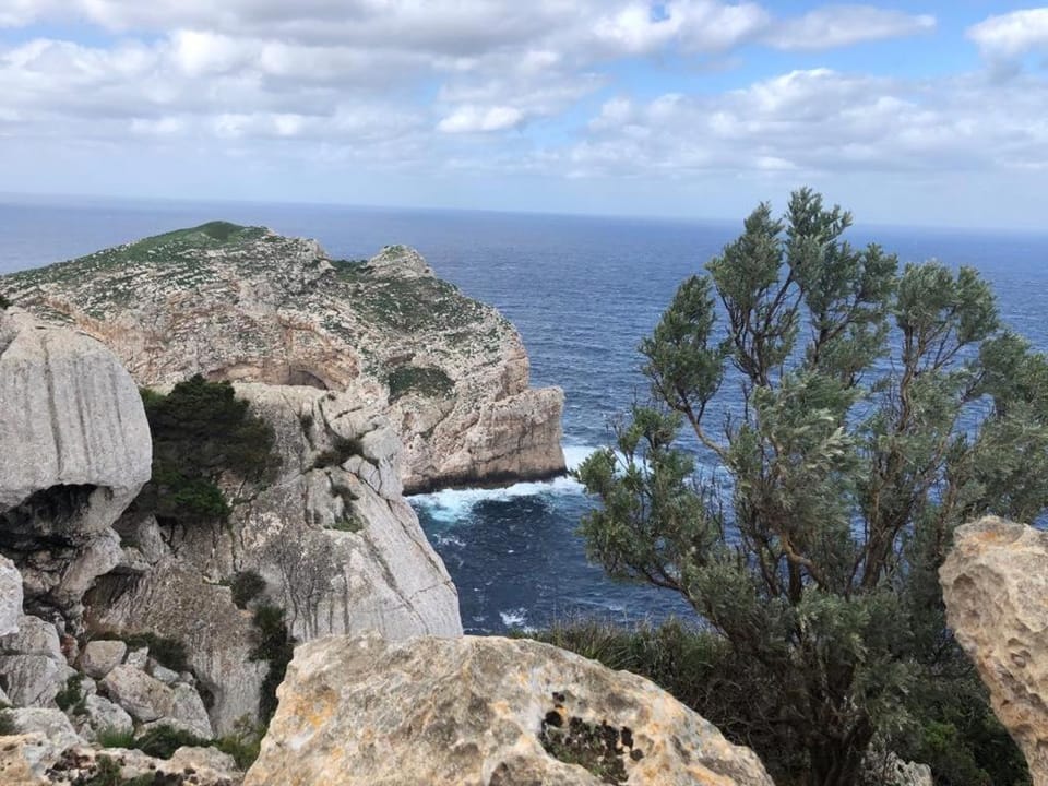Natural landscape