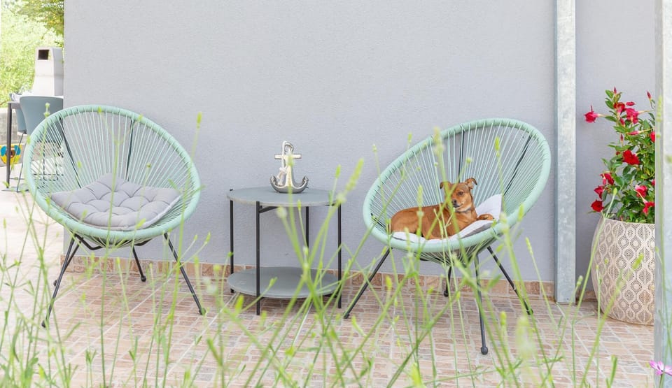 Balcony/Terrace, Animals, Pets