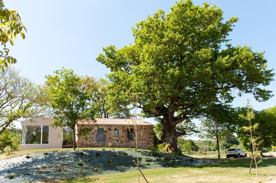 Property building, Garden