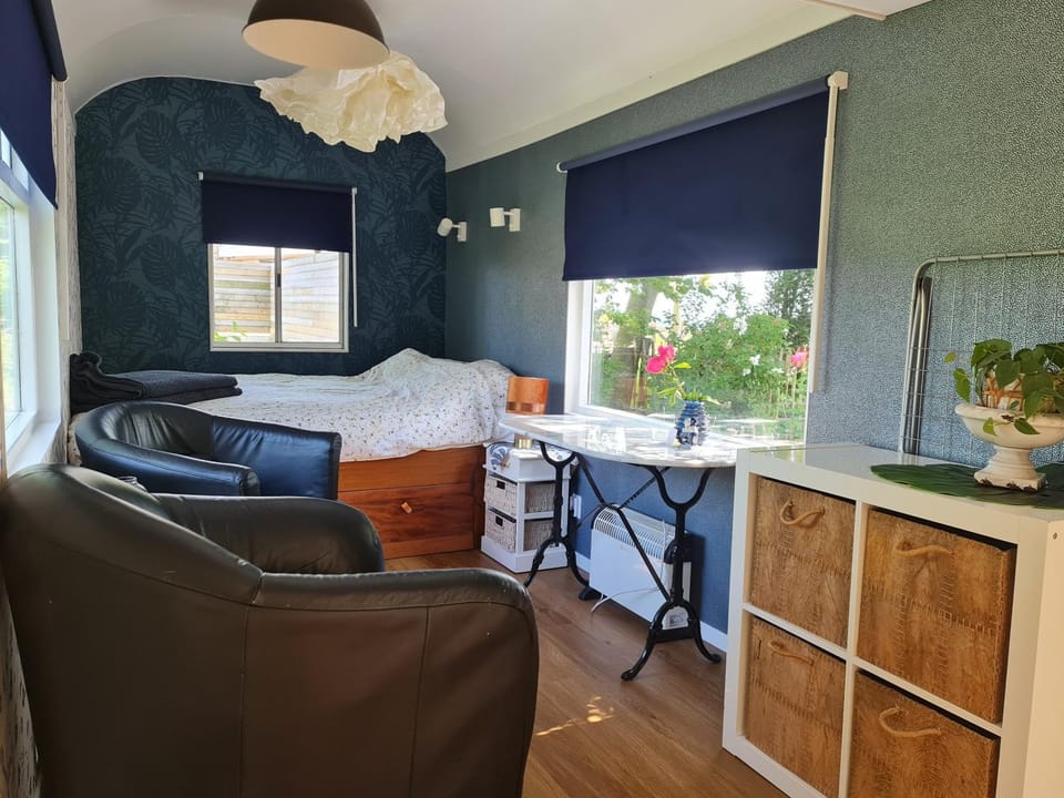 Bed, Living room, Photo of the whole room, Bedroom