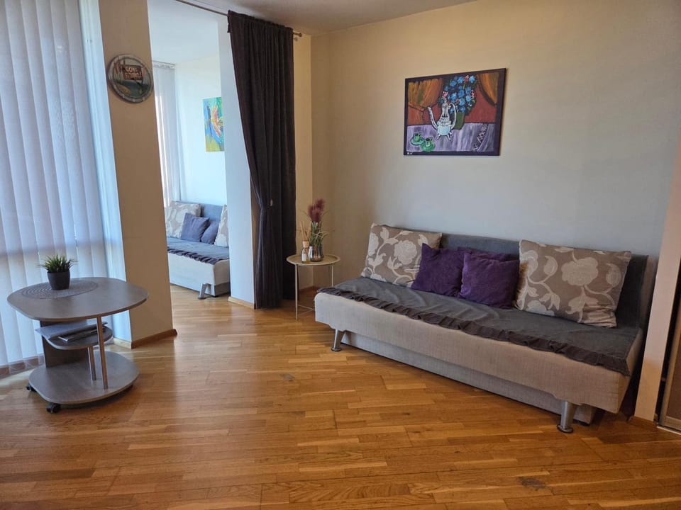 Jaukūs Elijos apartamentai prie jūros Apartment in Palanga
