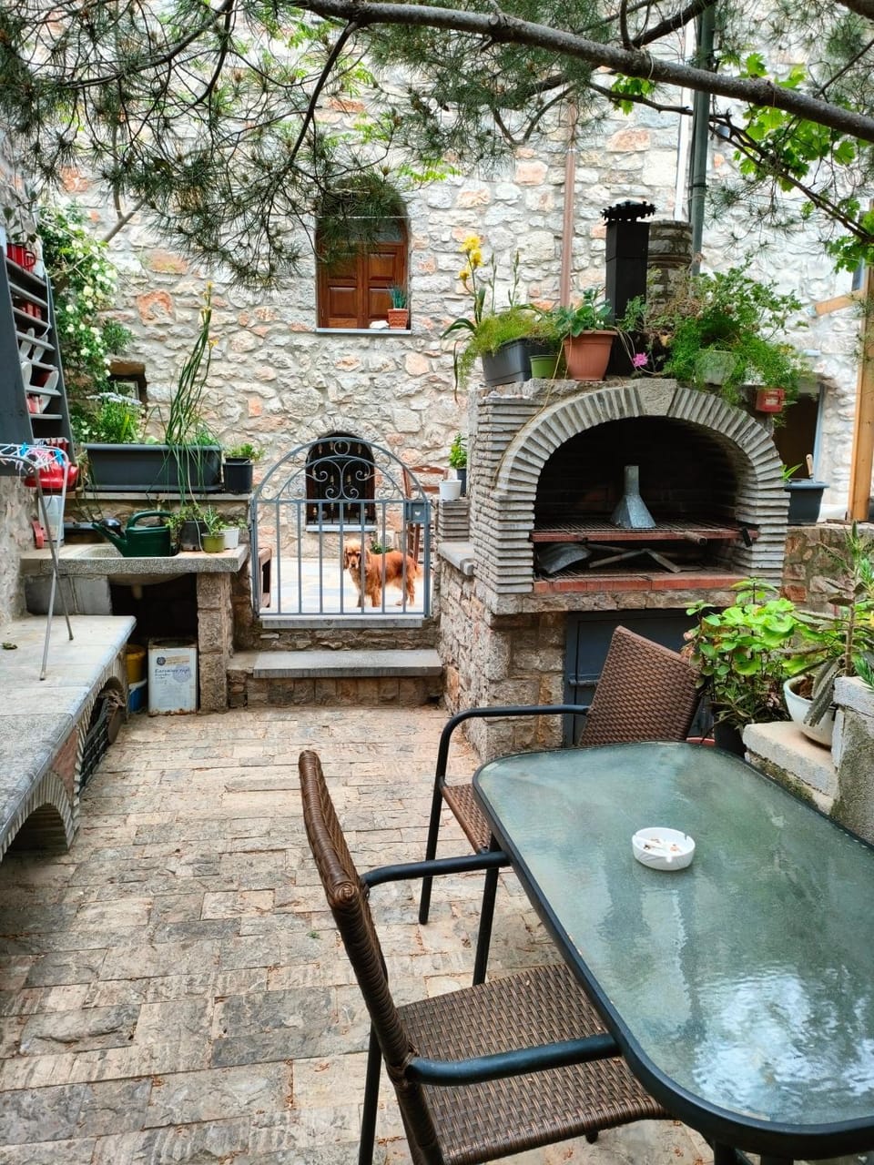 Patio, Balcony/Terrace, City view