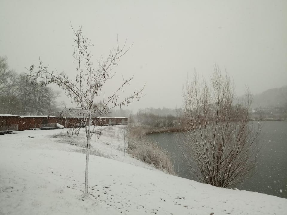 Natural landscape, Winter