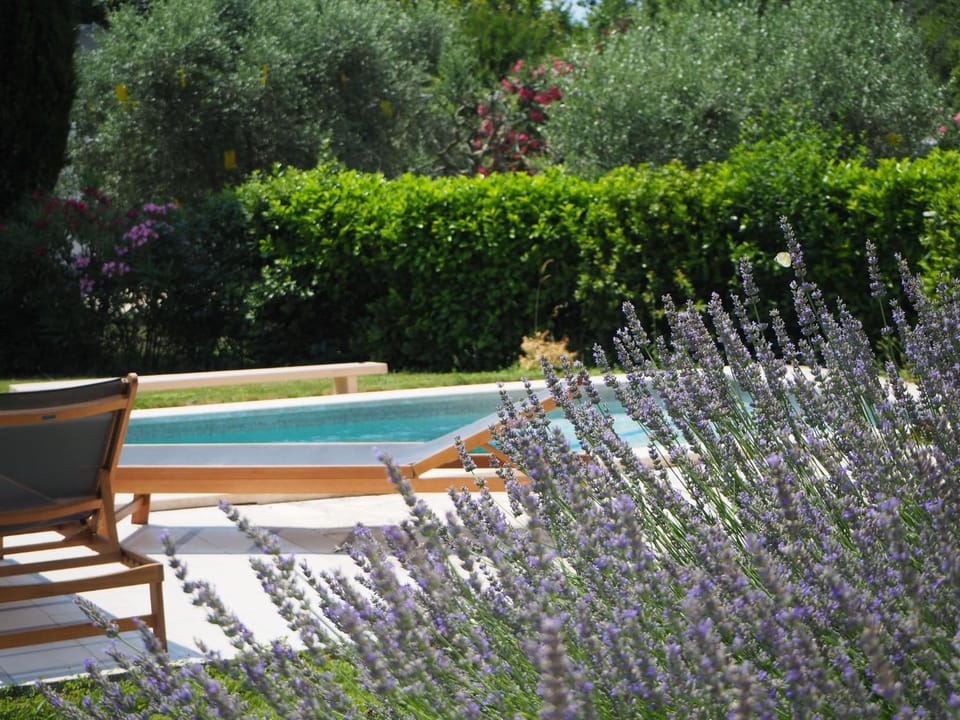 Garden, Pool view, Swimming pool, Swimming pool