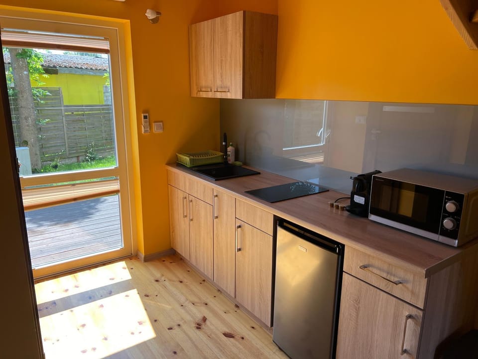 Kitchen or kitchenette, minibar, stove