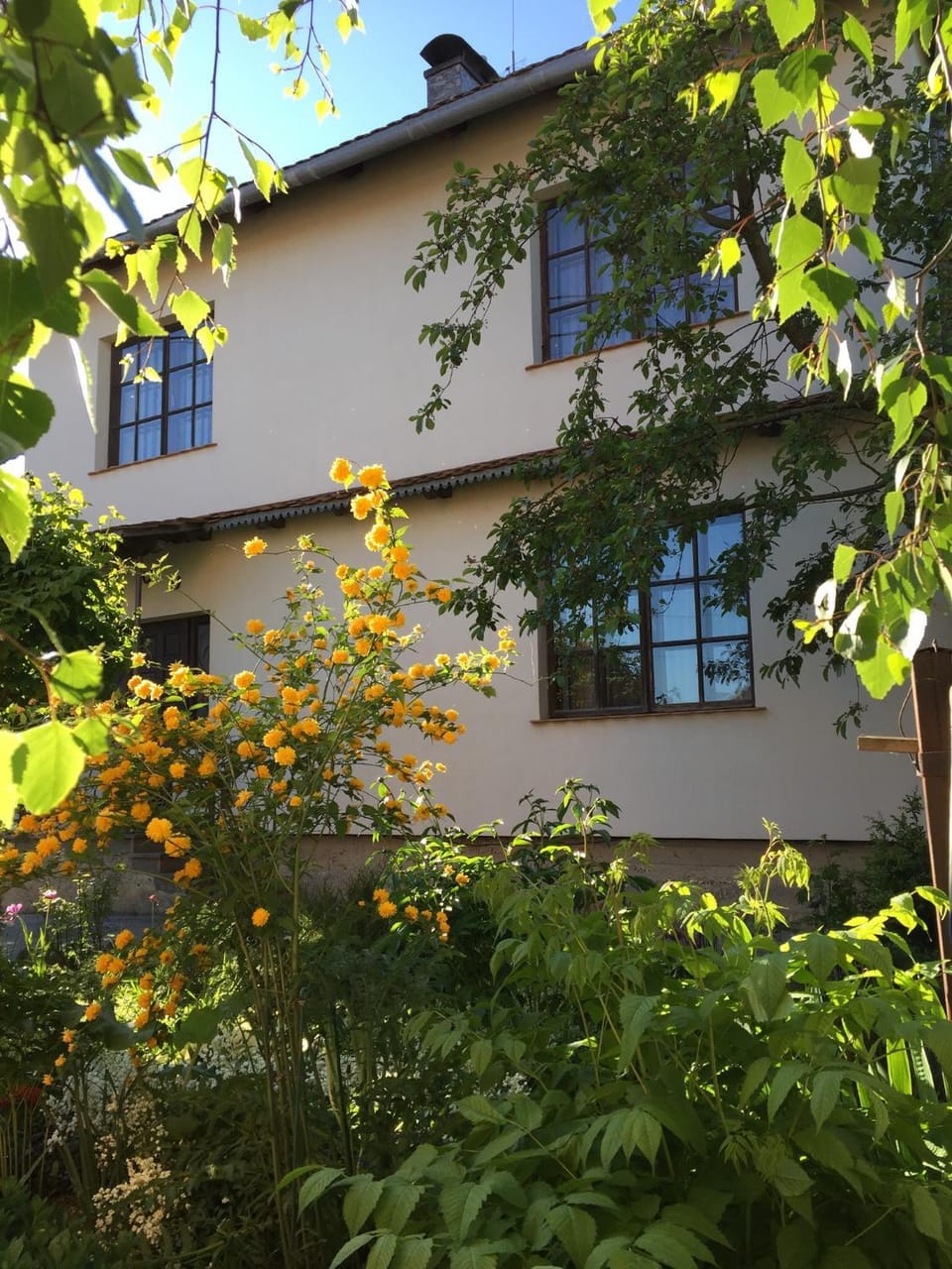 Family House Nichka Bed and Breakfast in Ukraine