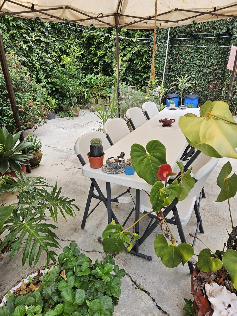 Posada Sancris Bed and Breakfast in San Cristobal de Casas