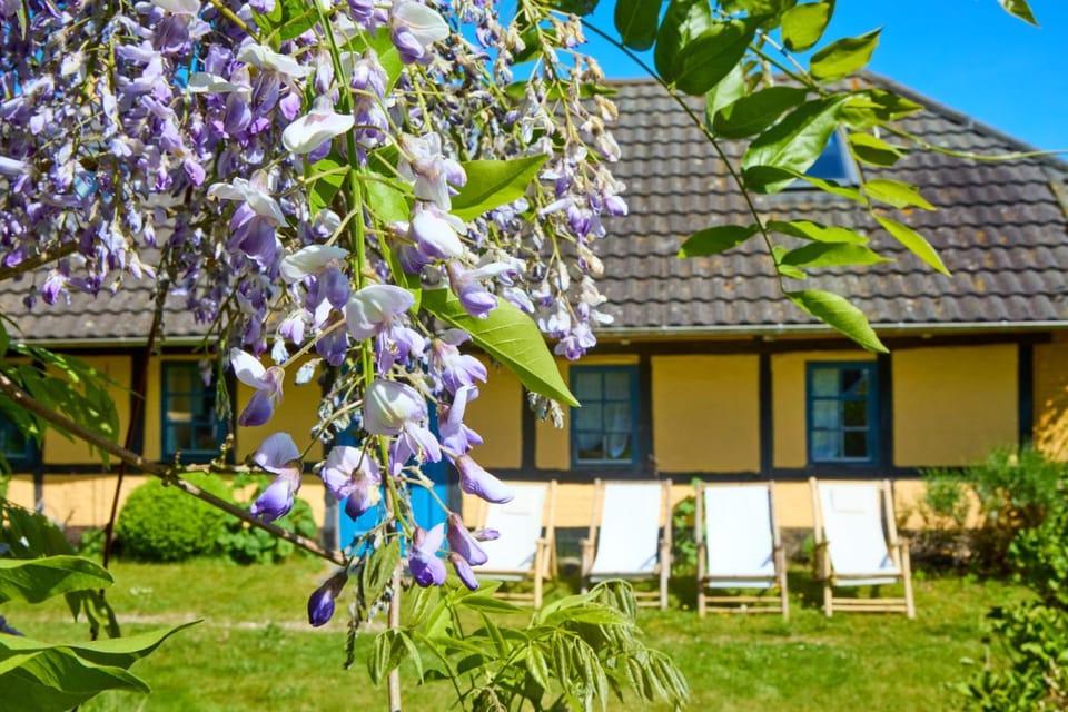 Møllegade 1 Holiday House House in Region of Southern Denmark