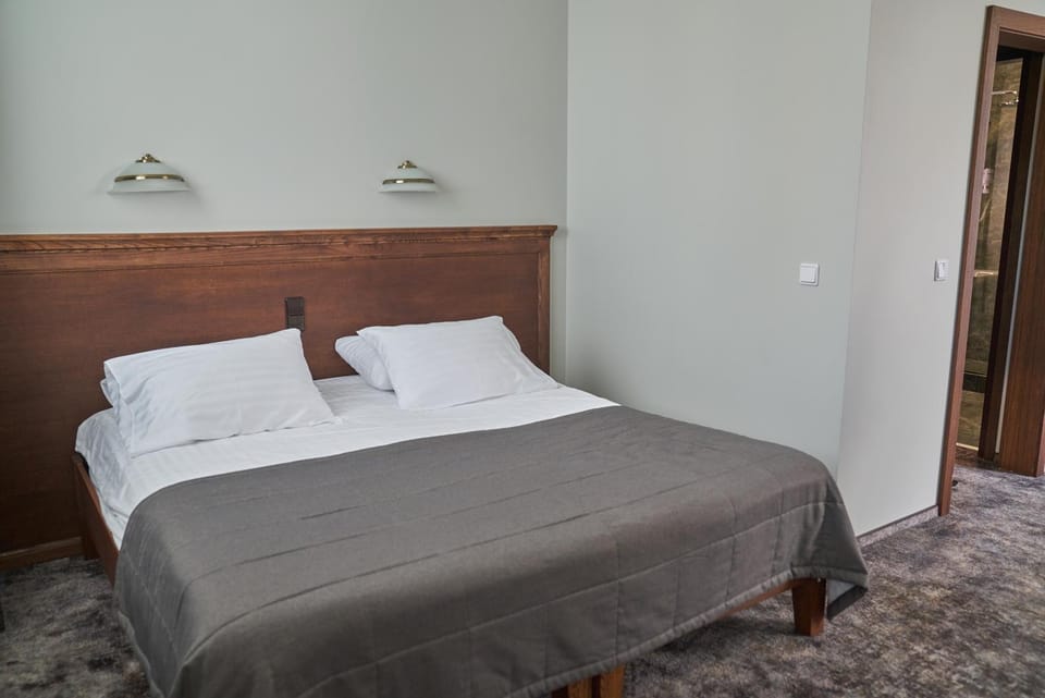 Šaulys Hotel in Lithuania