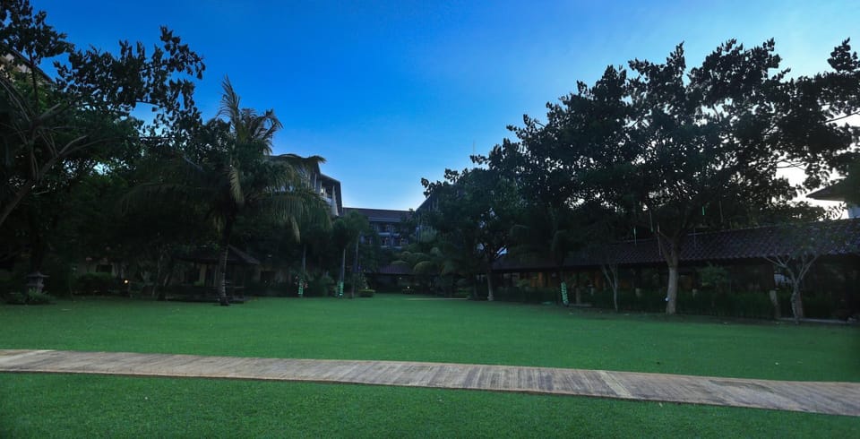 Bird's eye view, Garden
