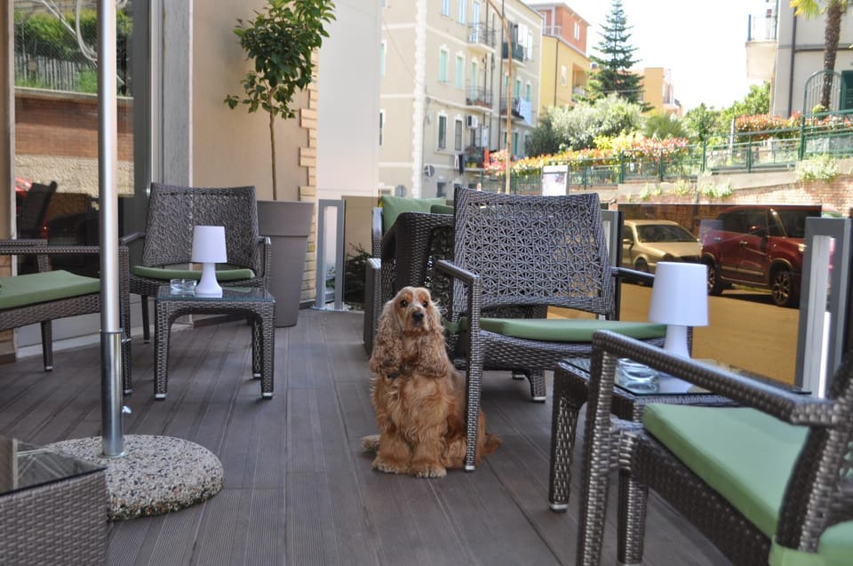 Property building, Balcony/Terrace, Pets