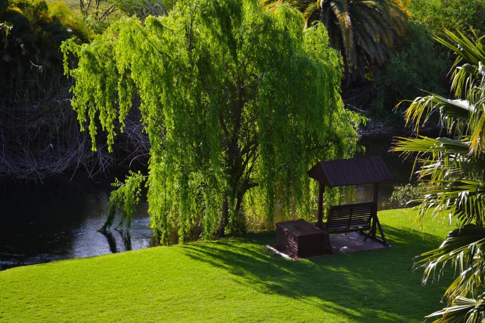 Natural landscape, Garden, River view
