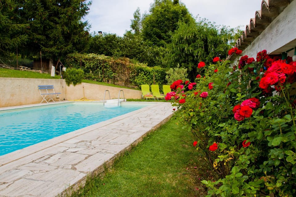 Swimming pool, Swimming pool