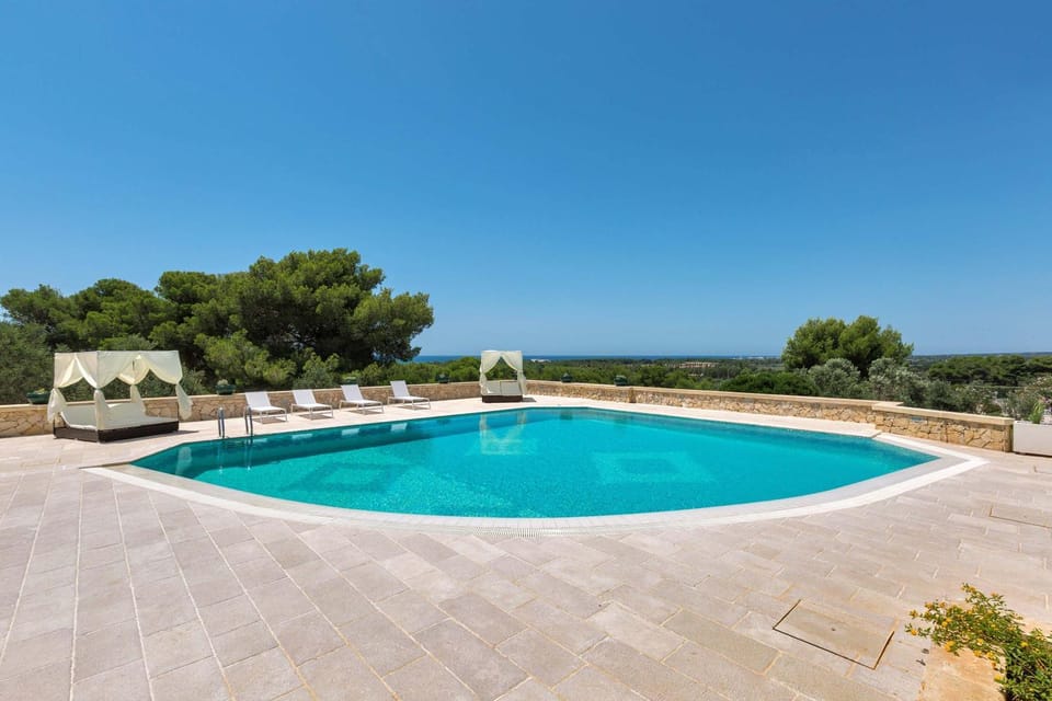 Natural landscape, Swimming pool, sunbed