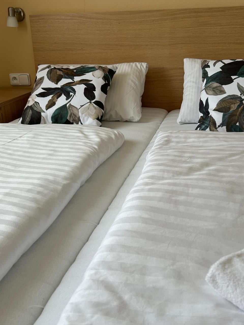 Bed, Photo of the whole room, furniture