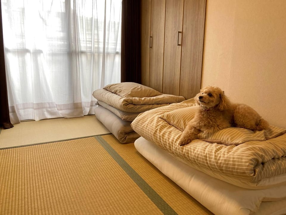 Photo of the whole room, Pets
