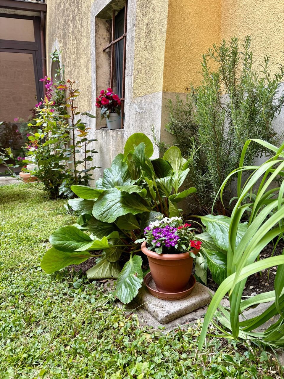 La casa di Marty B&B Apartment in Liguria