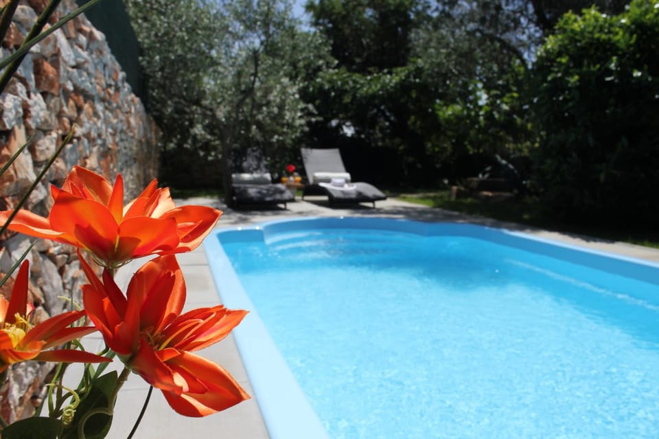 Garden, Swimming pool