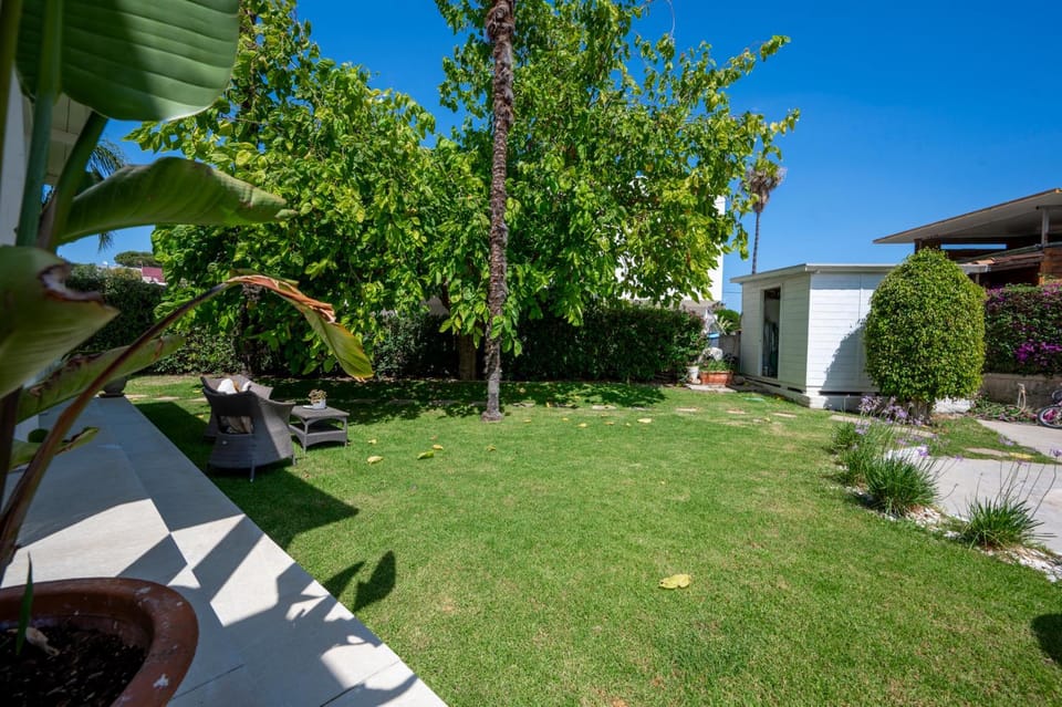 Day, Natural landscape, Garden, Garden view
