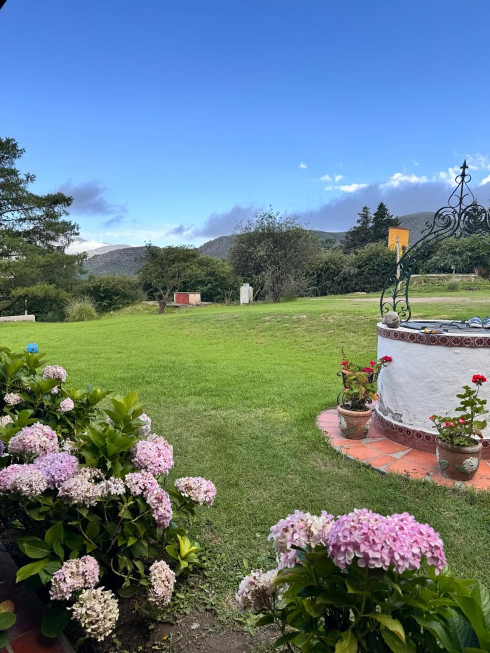 Garden view