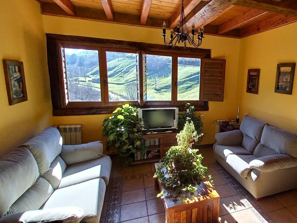 Living room, Mountain view