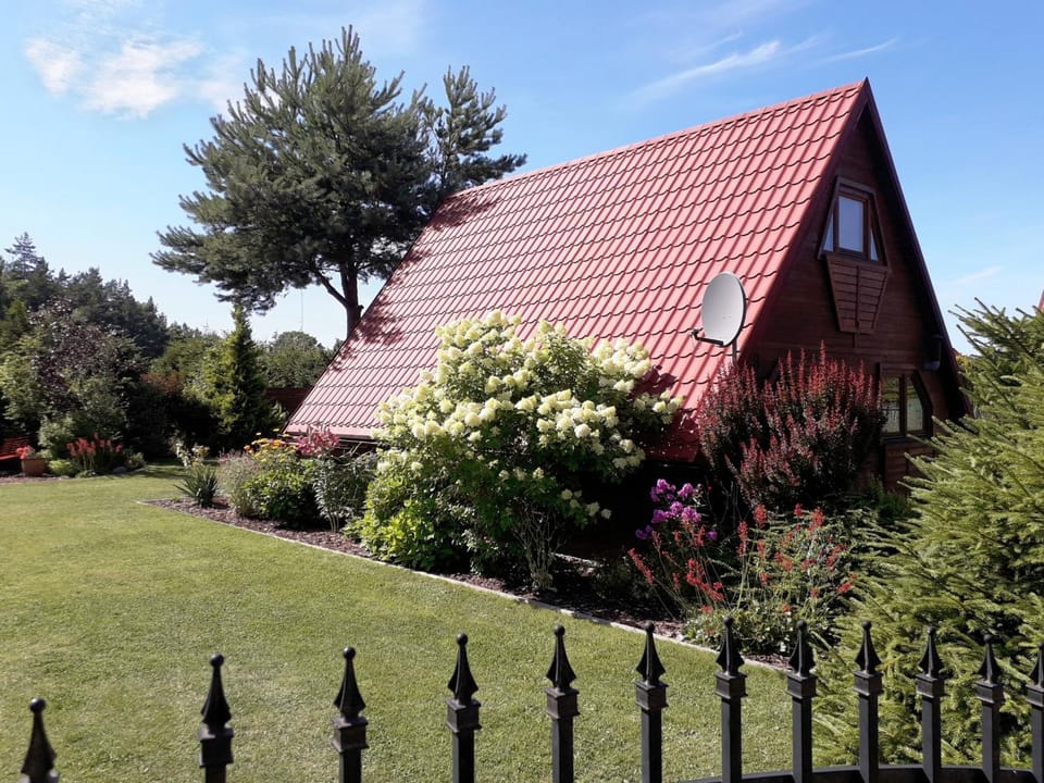 Spring, Day, Natural landscape