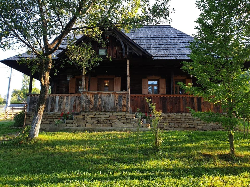 Granny's House House in Romania