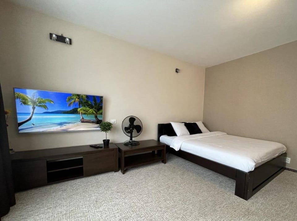 Communal lounge/ TV room, Bed, TV and multimedia, Photo of the whole room, Evening entertainment, Bedroom