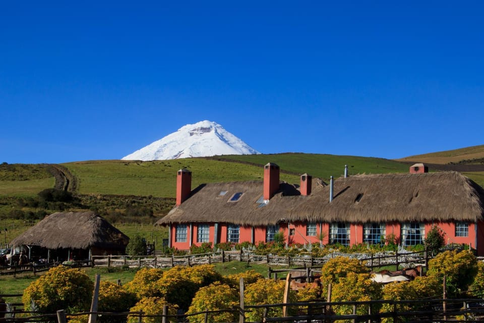 Property building, Natural landscape, Garden, Mountain view